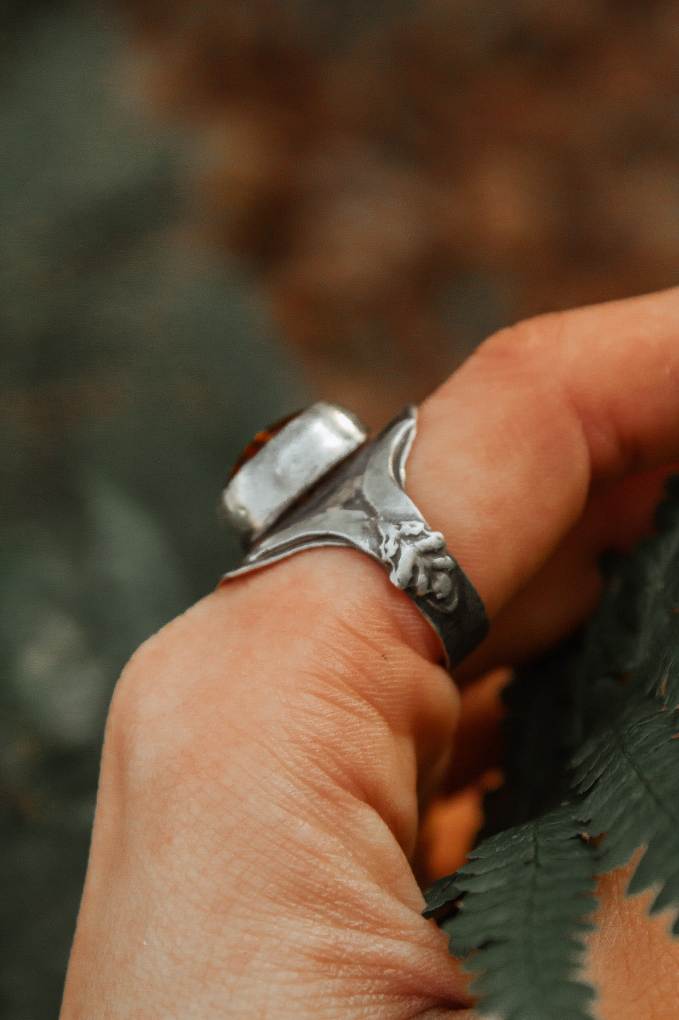 Echoes of the Lantern