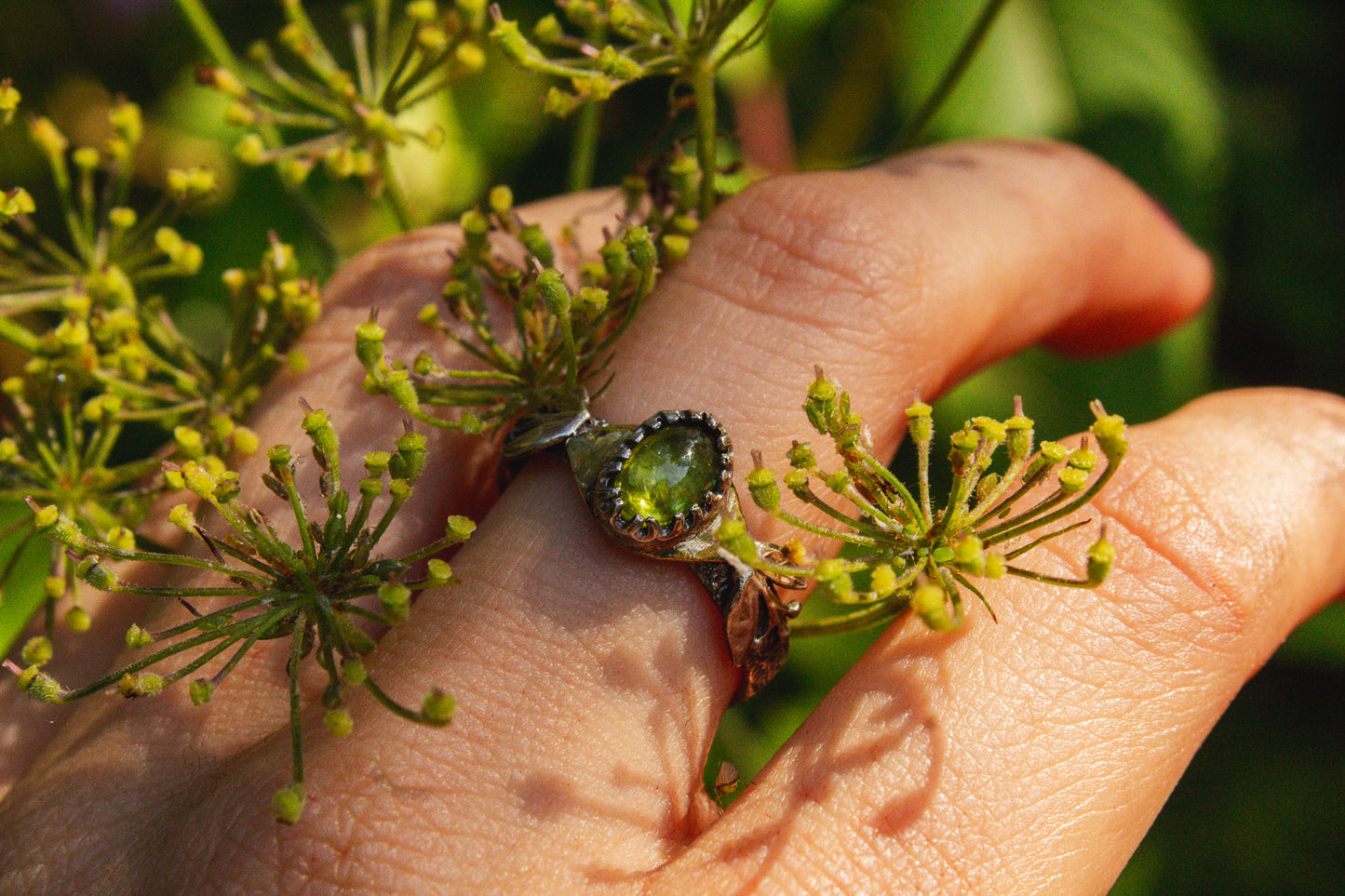 Sun Guidance Rings