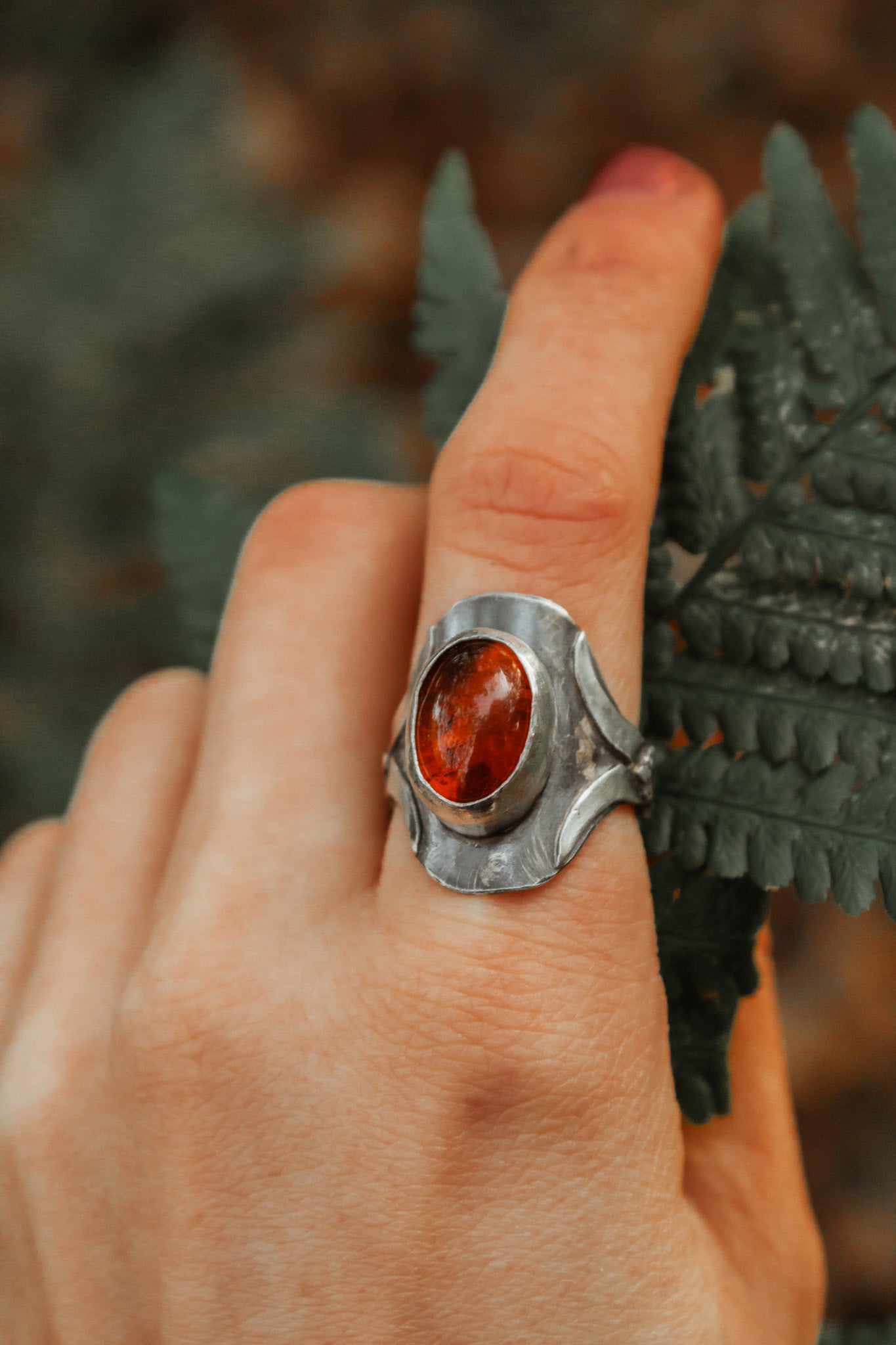 Echoes of the Lantern