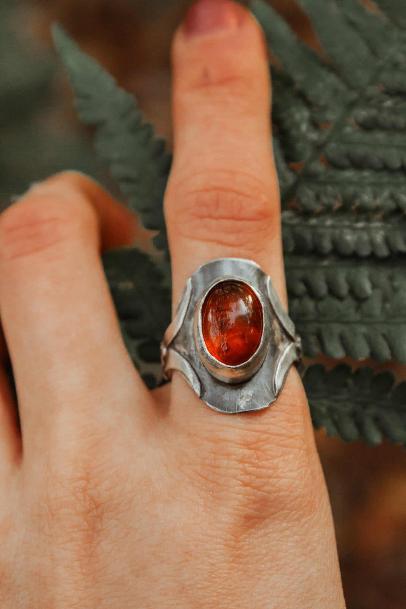 Echoes of the Lantern