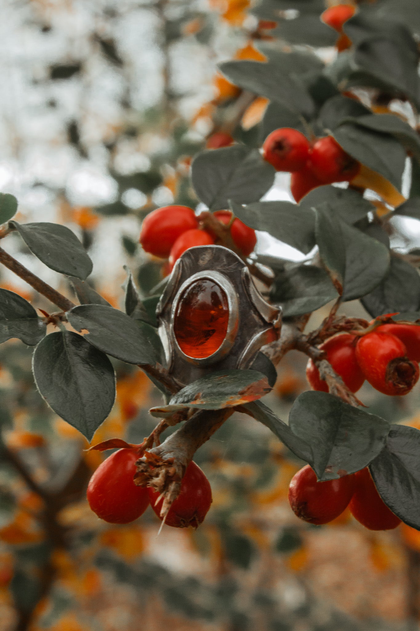 Echoes of the Lantern