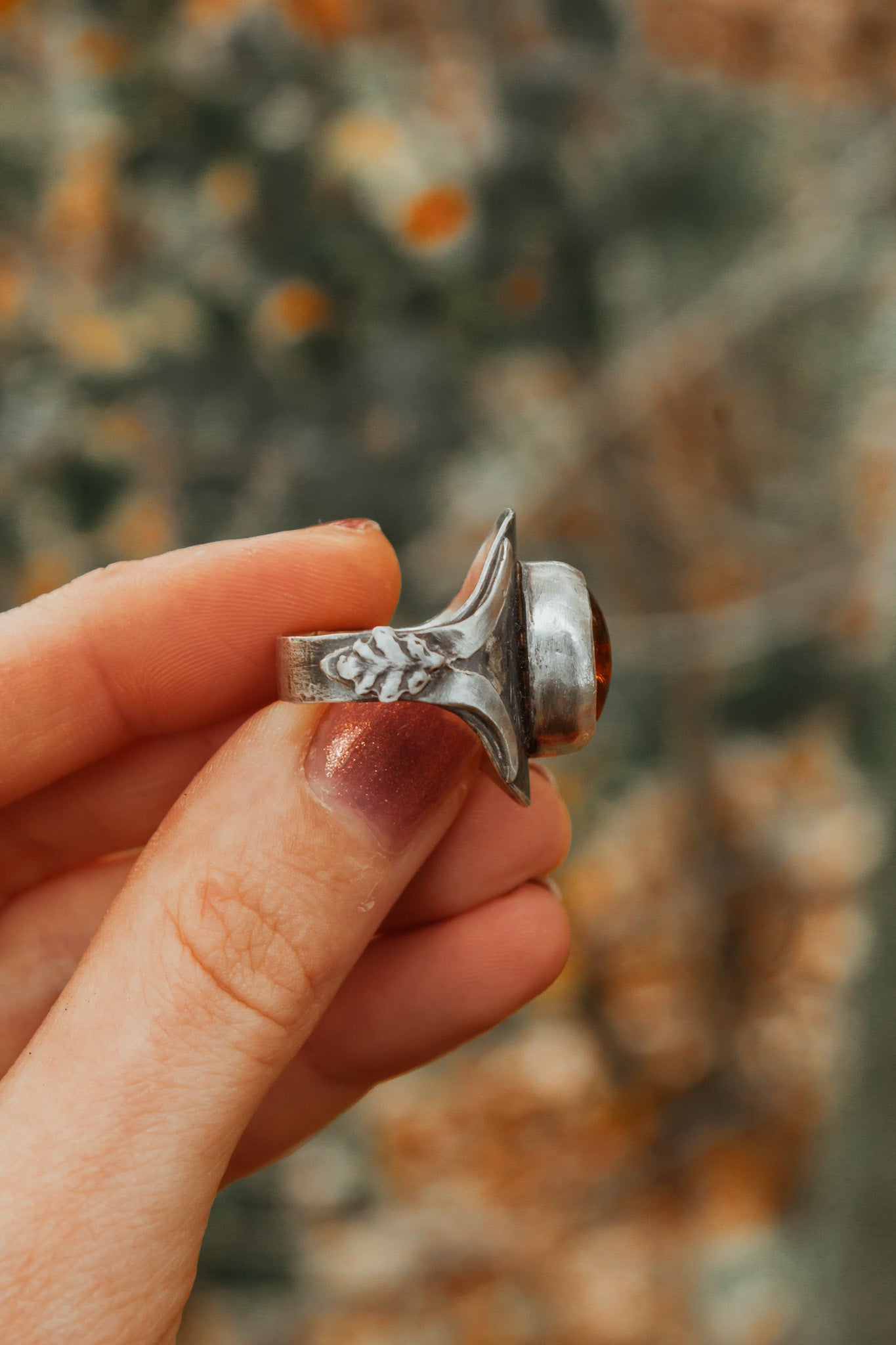 Echoes of the Lantern