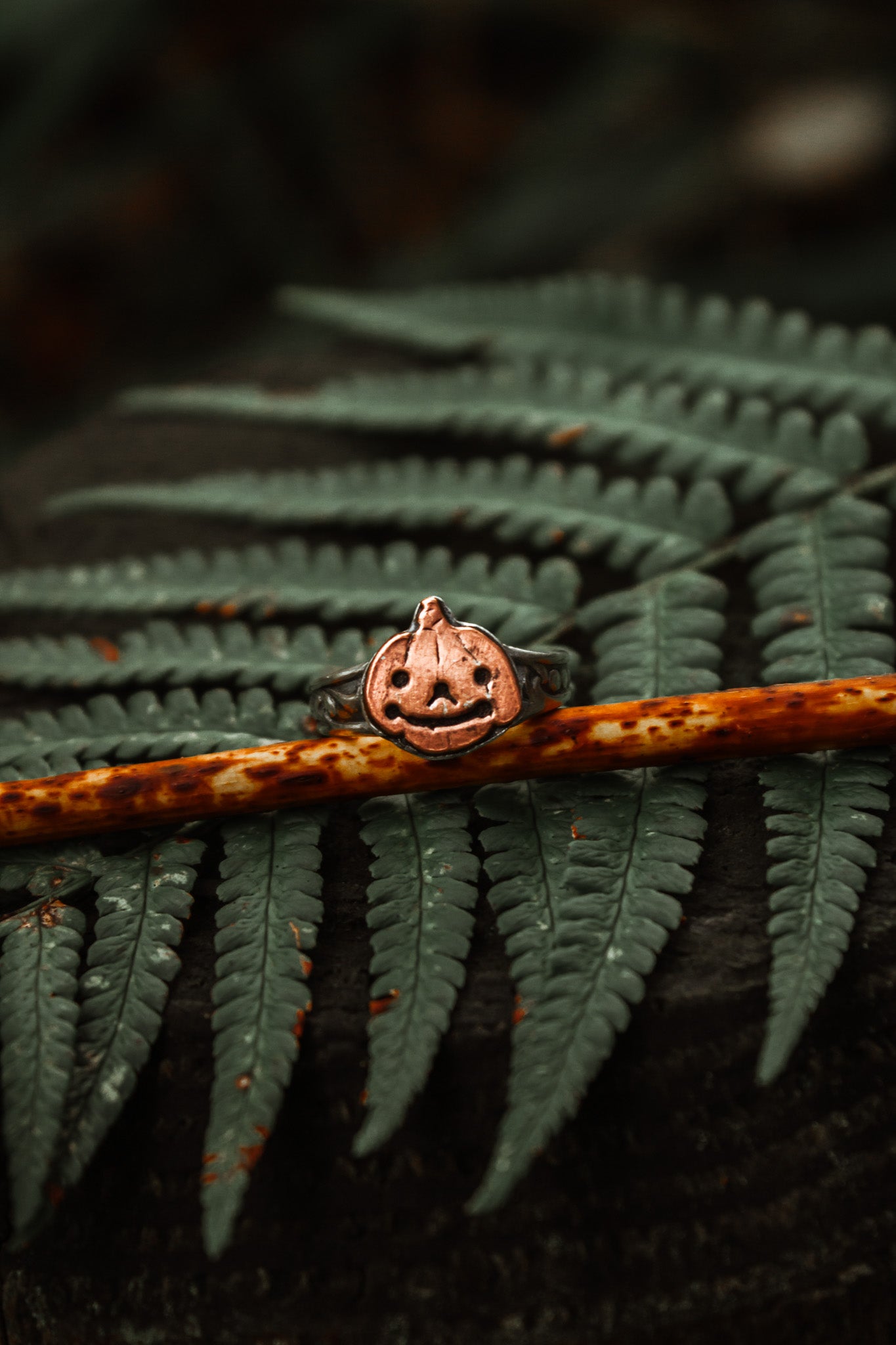 "Pottsfield" Ring Small